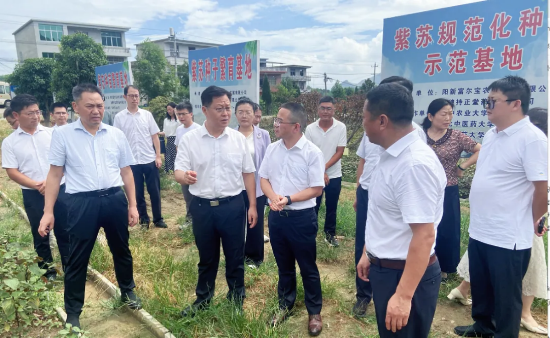 企業微信截圖_17533202077496.png